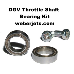 dgv%20throttle%20shaft%20bearing%20kita.jpg